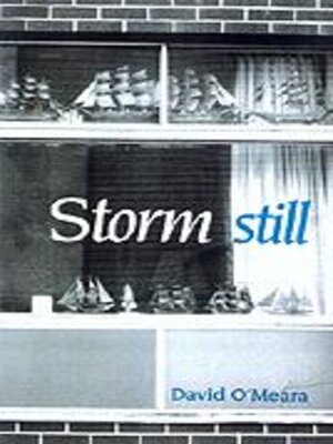cover image of Storm Still